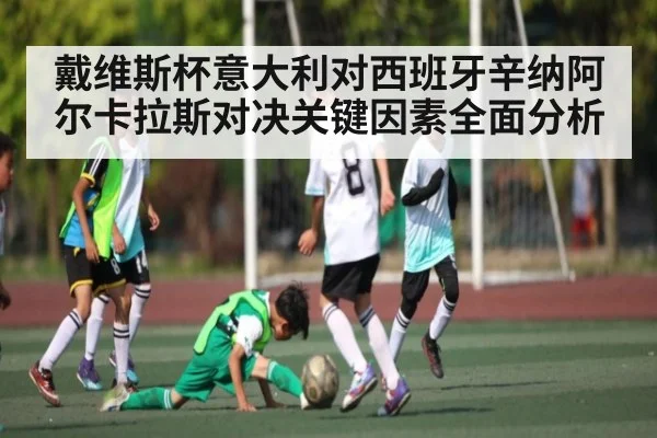 戴维斯杯意大利对西班牙辛纳阿尔卡拉斯对决关键因素全面分析