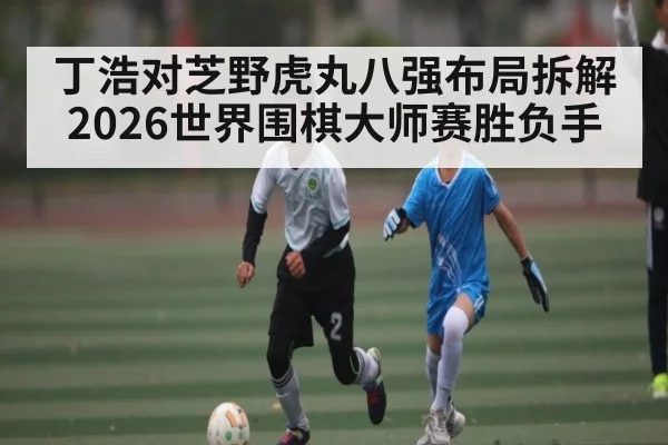 丁浩对芝野虎丸八强布局拆解 2026世界围棋大师赛胜负手