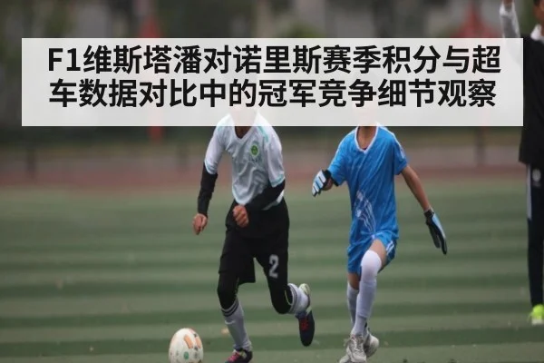 F1维斯塔潘对诺里斯赛季积分与超车数据对比中的冠军竞争细节观察